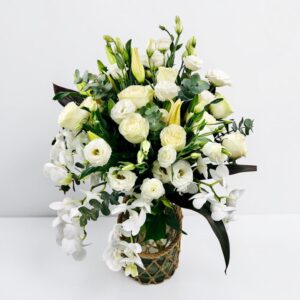 Modern in white