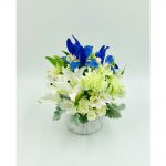 Wonderful in blue and white