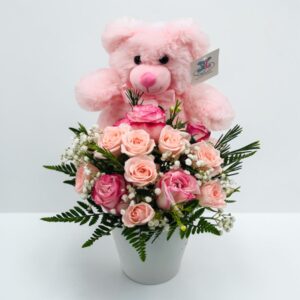 It’s a girl (teddy bear not included)