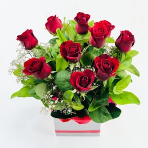 Premium roses in box