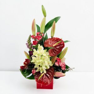 Red Anthurium