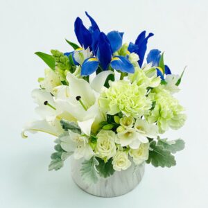 Wonderful in blue and white