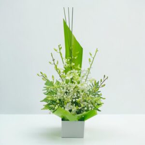 Singapore Orchids In a box