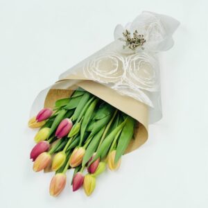 Thinking of tulips